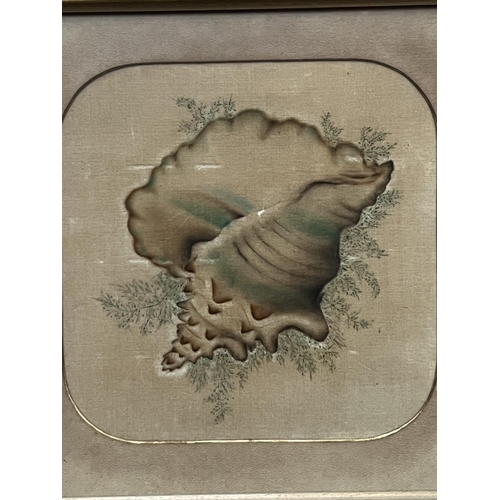 2200 - Shell picture, approx 49cm sq