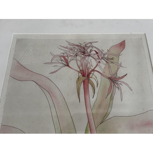 2204 - Lindy Cuppard, handcoloured etching, Crimson Queen ?, 6/25, signed lower right, approx 51cm x 41cm