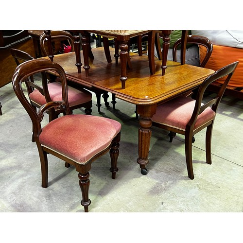 2235 - Set of six balloon dining back chairs, each approx 89cm H (6)