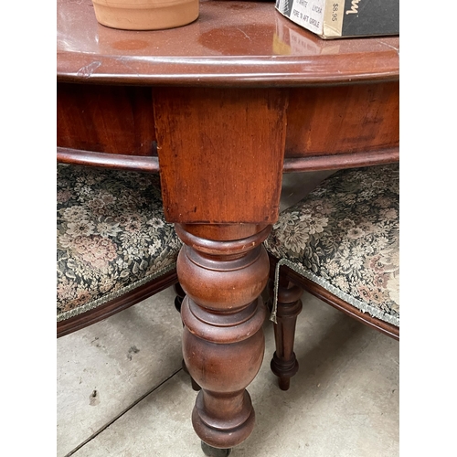 2245 - Antique Australian cedar D end extension dining table, standing on turned legs, approx 75 cm H x 195... 