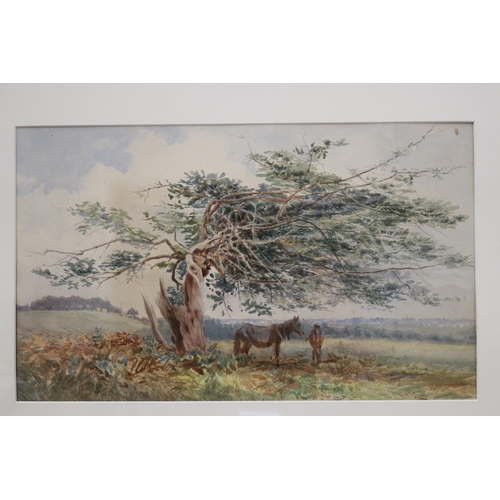 2084 - Unknown, watercolour, horses beneath a twisted tree, approx 27 cm x 44 cm