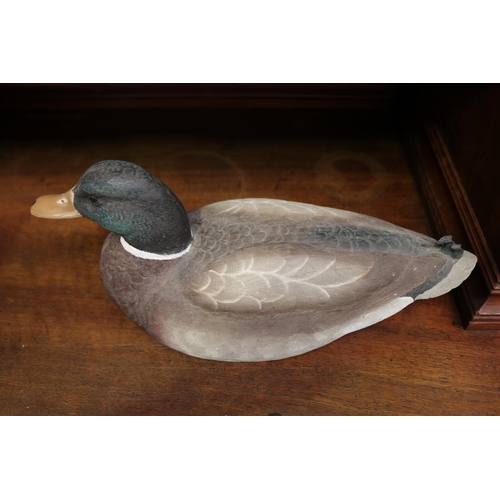 2113 - Decorative Mallard duck, approx 16cm H x 39cm L