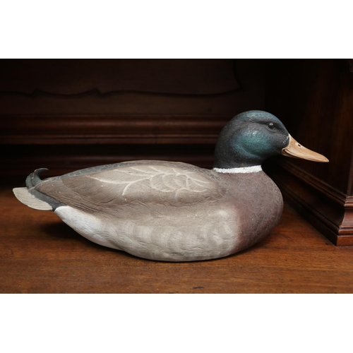 2113 - Decorative Mallard duck, approx 16cm H x 39cm L