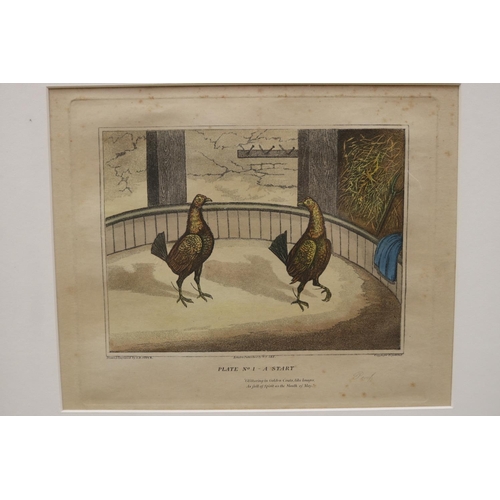 2186 - Six framed cock fighting engravings, each approx 34cm H x 43cm W (6)