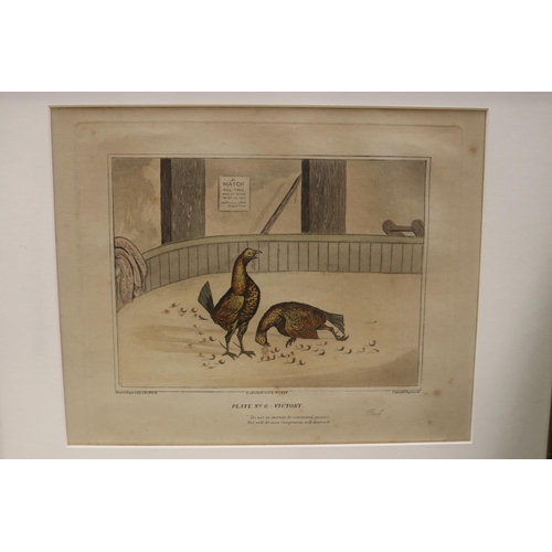 2186 - Six framed cock fighting engravings, each approx 34cm H x 43cm W (6)