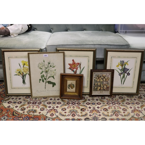 2255 - Lot of botanical prints etc, approx 45cm H x 36cm W and smaller (6)