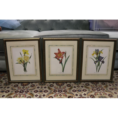 2255 - Lot of botanical prints etc, approx 45cm H x 36cm W and smaller (6)