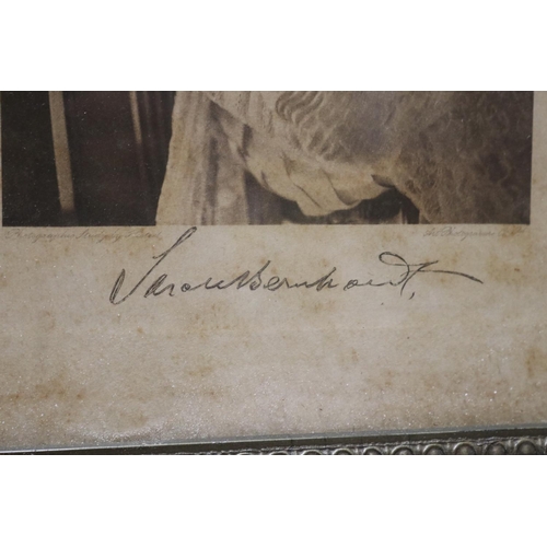 2436 - Printed Autographed framed photograph of famous French born actress Sarah Bernhardt (from the Estate... 