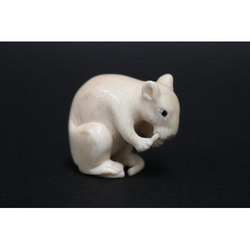 25 - Japanese Carved ivory netsuke of a rat (AF tail) approx 3.5cm H x 4cm L