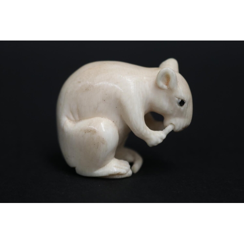 25 - Japanese Carved ivory netsuke of a rat (AF tail) approx 3.5cm H x 4cm L