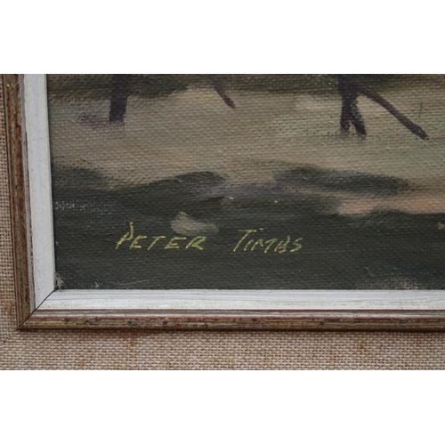 439 - Peter Timbs, Australia, Grose wold North Richmond NSW, oil on board, signed lower right, approx 34cm... 
