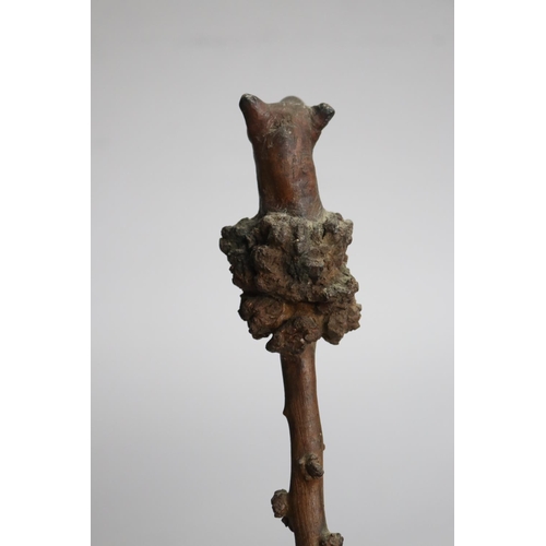 10 - Unsual root walking stick, approx 96cm L