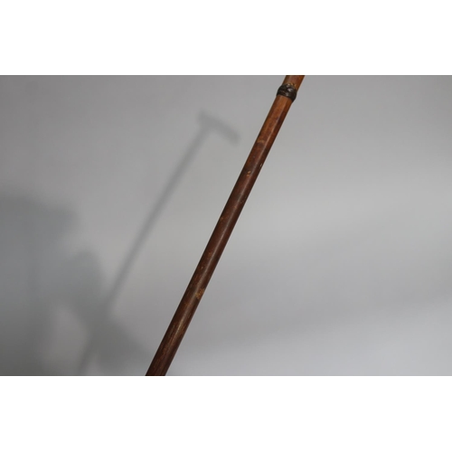 13 - Walking stick with silver and carved bone handle, approx 89cm L