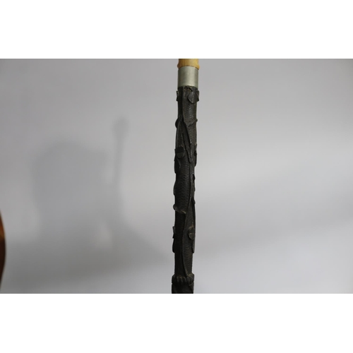 19 - Walking stick with lion head handle, has split to shaft, approx 81cm L