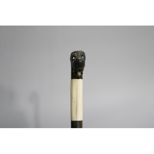 5 - Walking stick of sectional bone design with a beast handle, approx 86cm L