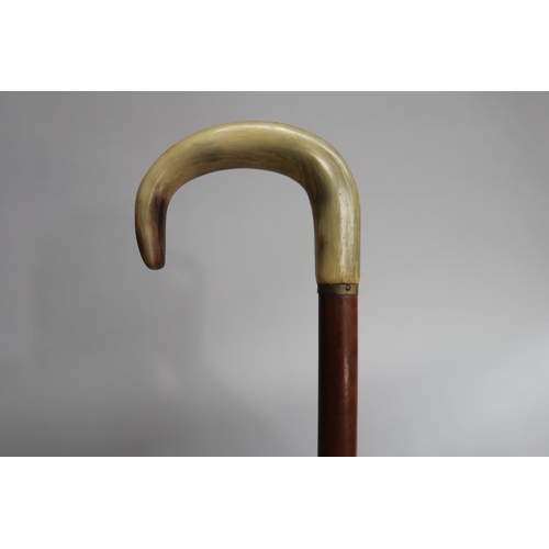 36 - Walking stick with horn handle, approx 89cm L