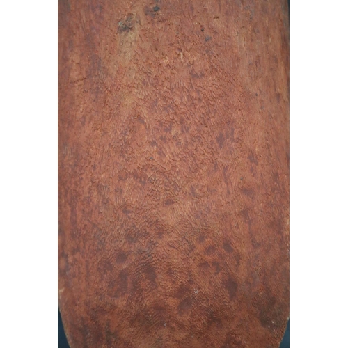 3004 - Bobby Tilmouth Pultara, (Australian Aboriginal deceased) Shield, bean tree, 1988, Anmatjere Communit... 