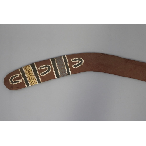 3043 - Allan Jungala, Australian Aboriginal, hand painted hardwood boomerang, 65 cm long