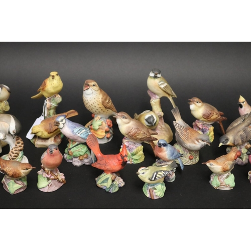 21 - Large collection of Royal Worcester bird figures, with others, approx 12cm H and shorter