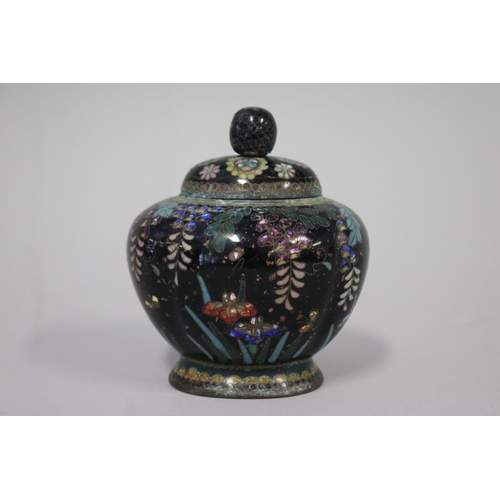 109 - Antique Japanese cloisonne oval lidded pot, decorated Dutch iris and wisteria, approx 11cm H x 9cm W... 