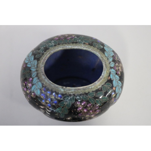 109 - Antique Japanese cloisonne oval lidded pot, decorated Dutch iris and wisteria, approx 11cm H x 9cm W... 