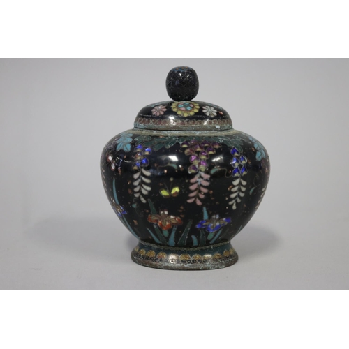 109 - Antique Japanese cloisonne oval lidded pot, decorated Dutch iris and wisteria, approx 11cm H x 9cm W... 