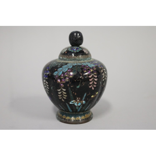 109 - Antique Japanese cloisonne oval lidded pot, decorated Dutch iris and wisteria, approx 11cm H x 9cm W... 