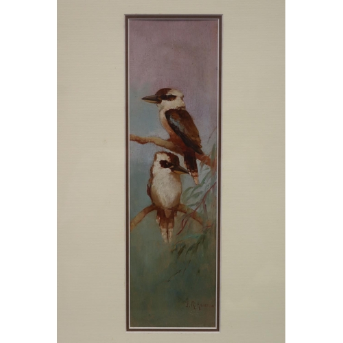 411 - Julian Rossi Ashton (1851-1942) two Kookaburras on branches, oil on board, signed lower right J.R.As... 