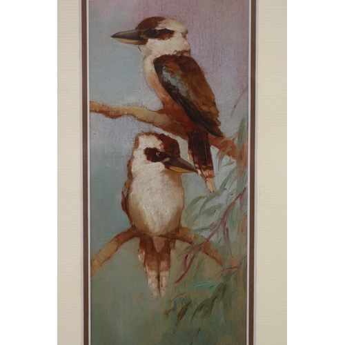 411 - Julian Rossi Ashton (1851-1942) two Kookaburras on branches, oil on board, signed lower right J.R.As... 