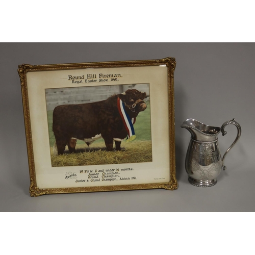 90 - Should read - Silver plate trophy jug retailed by Drummond & Sons of Melbourne, for the Champion sho... 