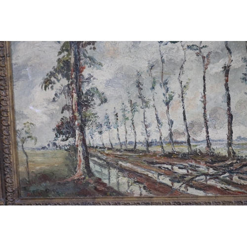 308 - David Mcbeth Sutherland (1883-1973), Tree lined road, likely France, oil on board, signed lower left... 