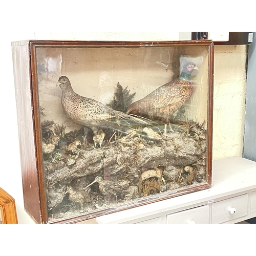 348 - Large antique Victorian taxidermy diorama of pheasants to ground with chicks, snipes, and cross sect... 