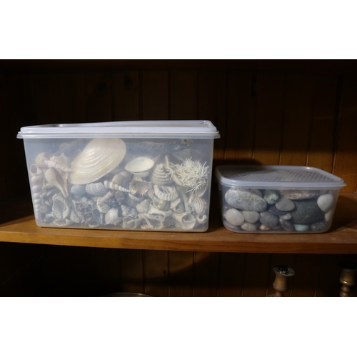 191 - Two tubs Assortment of shells and stones