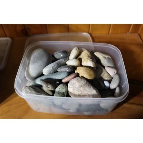 191 - Two tubs Assortment of shells and stones