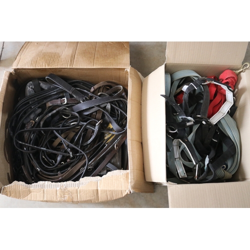 85 - Box of assorted harnesses and leads