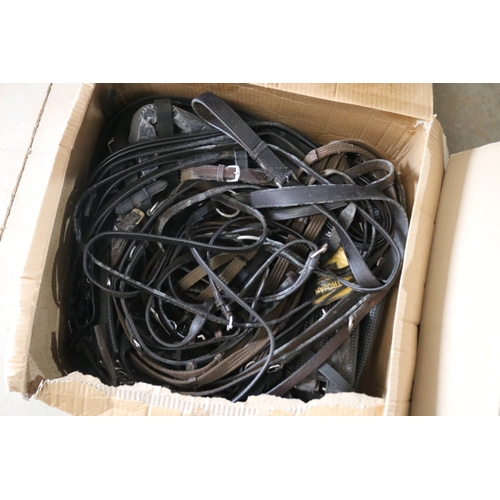 85 - Box of assorted harnesses and leads