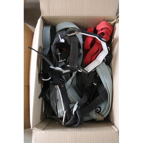 85 - Box of assorted harnesses and leads