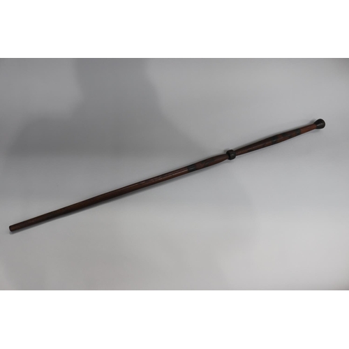 733 - Australian motif walking stick, approx 94cm L