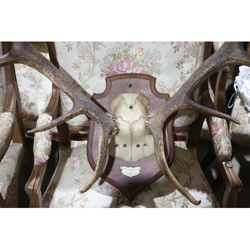 283 - Set of antique French antlers on oak  backboard, dated 1912- approx 85cm H x 73cm W