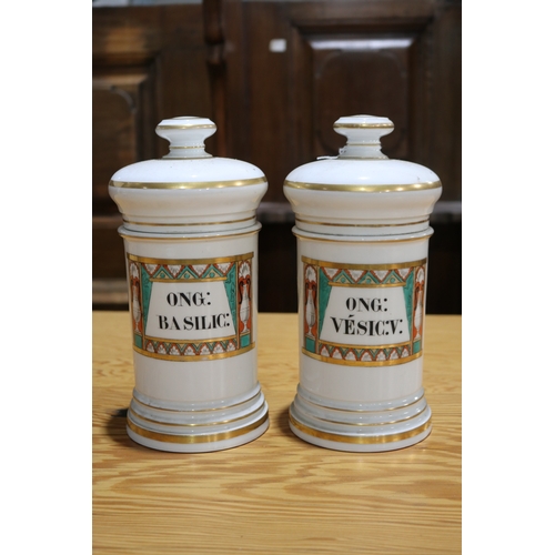 710 - Pair of antique French porcelain chemist jars, each approx 24cm H (2)