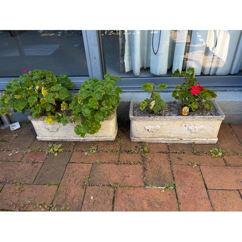 814 - Pair of rectangular planters with geraniums  (2)