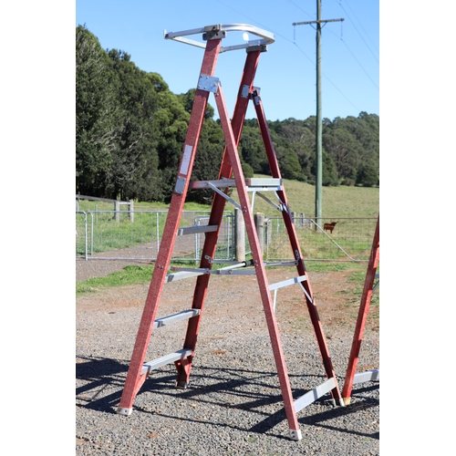 798 - Two large Climbrite professional painters A frame ladders (2) fiberglass and aluminum 
tallest 3.2.m... 