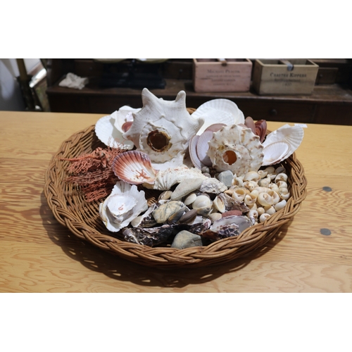 792 - Large circular cane basket of sea shells