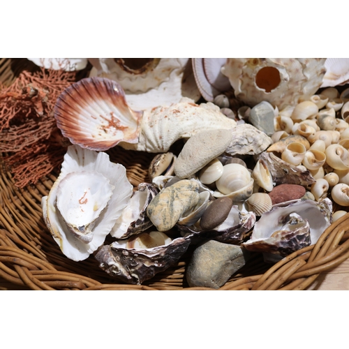 792 - Large circular cane basket of sea shells