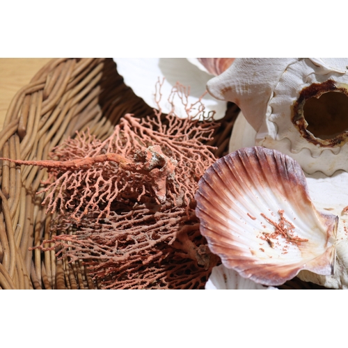 792 - Large circular cane basket of sea shells