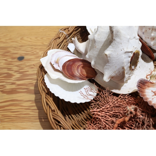 792 - Large circular cane basket of sea shells