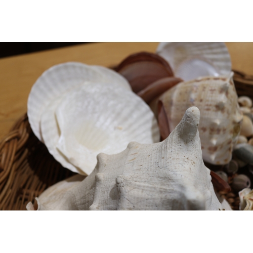 792 - Large circular cane basket of sea shells