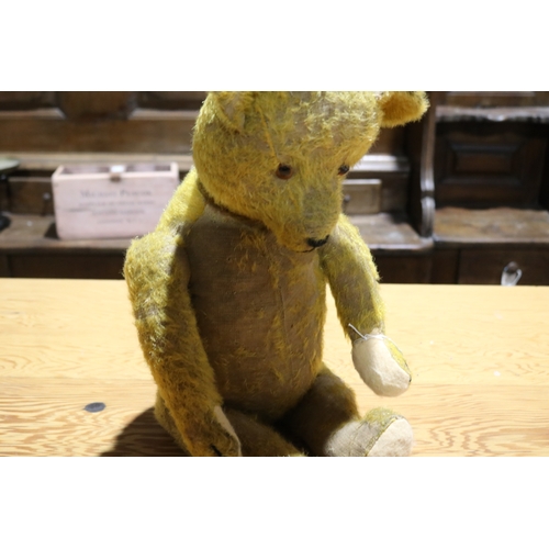 775 - Vintage jointed teddy bear with a hump