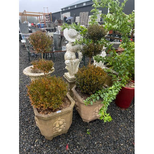 816 - Pair of canted corner pots with triple lolly pop buxus (2)