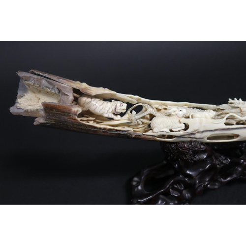 308 - Rare finely carved ancient mammoth ivory tusk section, later carved with the twelve zodiac animals. ... 